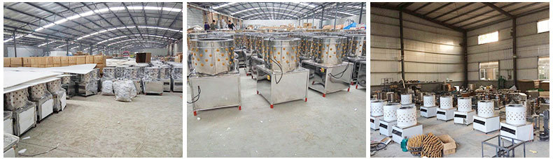250型商用鋸骨機(jī) 不銹鋼全自動(dòng)切骨機(jī) 小型多功能立式臺面鋸骨機(jī)