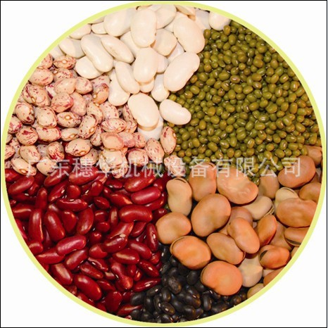 商用豆奶機大品牌,穗華現(xiàn)磨豆?jié){豆奶機,全自動/多功能豆奶設(shè)備！