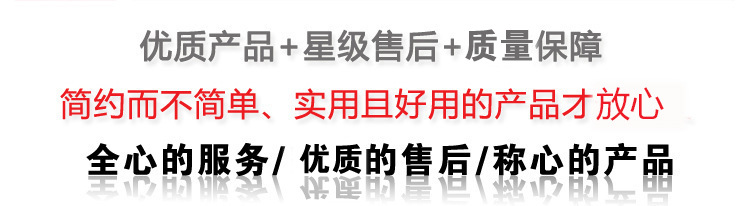 豪華方冰機(jī)120KG制冰機(jī) 斯伯利LB255H中小型商用食用冰塊制冰機(jī)