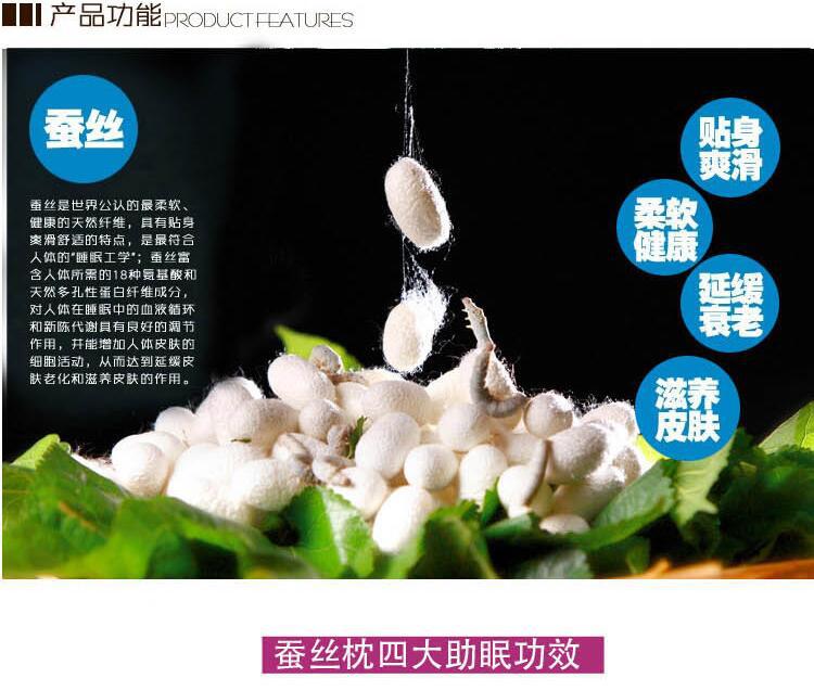 廠家直銷(xiāo)酒店床上用品單人軟枕頭 批發(fā)蠶絲枕芯 跑江湖一件代發(fā)