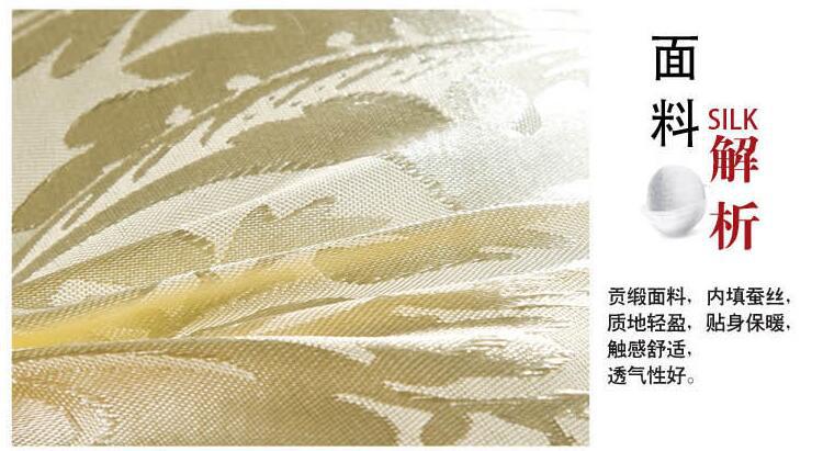 廠家直銷(xiāo)酒店床上用品單人軟枕頭 批發(fā)蠶絲枕芯 跑江湖一件代發(fā)